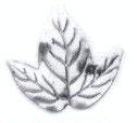 Stamping Leaves